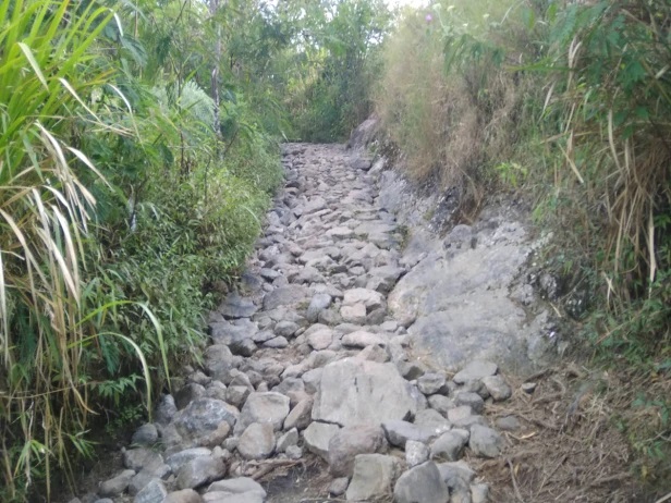 Hiking Gunung Welirang